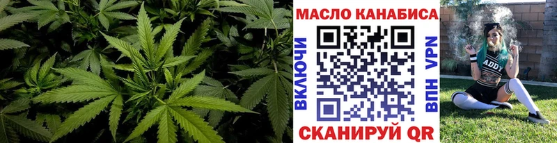 ТГК гашишное масло  Купить где  Николаевск-на-Амуре 